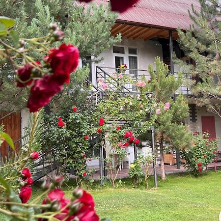 Podsolnukhi Guest House Tsjolpon-Ata Eksteriør bilde