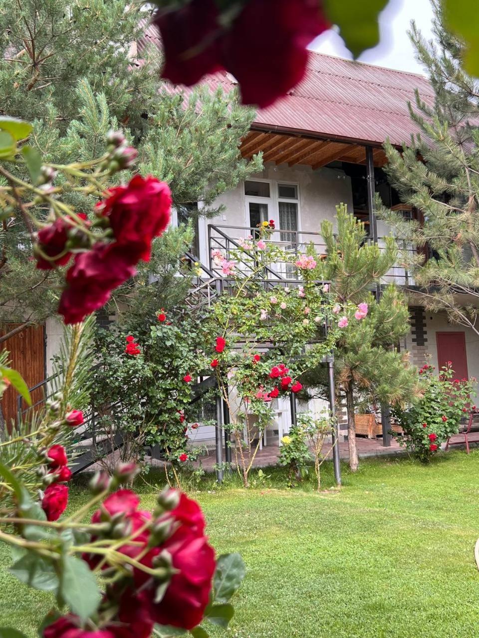 Podsolnukhi Guest House Tsjolpon-Ata Eksteriør bilde